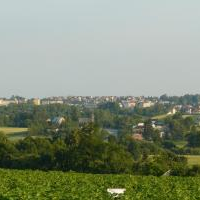 Gmina Miechów